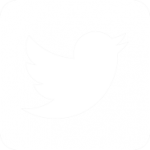 Logo Twitter